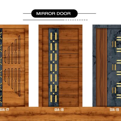 Modern acrylic door design
